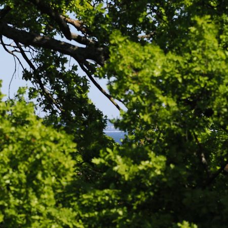 Kaiservillen Heringsdorf - Ferienwohnung Mit 2 Schlafzimmern Und Balkon D213 Zewnętrze zdjęcie